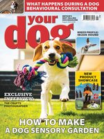 Your Dog